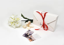 Load image into Gallery viewer, Silk Scarf 23
